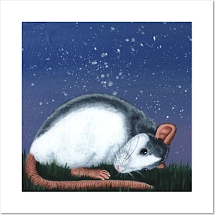 Sleeping Roan Rat Posters and Art